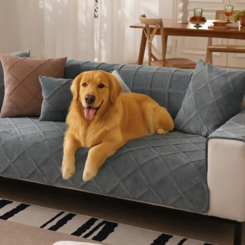Velvety Soft Short Plush Modern Interiors Couch Co