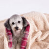 Warm Cozy Plaid Sherpa Fleece Thickened Blanket fo
