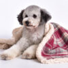 Warm Cozy Plaid Sherpa Fleece Thickened Blanket fo