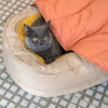 Leaf Shape Dog Blanket With Donut Dog Bed Luxury D