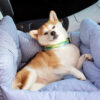Portable Leisure Outing Pet Bolster Large Dog Car 