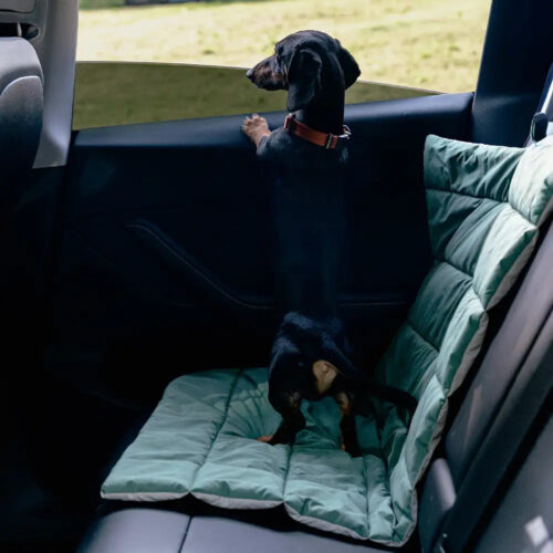 Portable Foldable Double-Sided Water-Repellent Dog