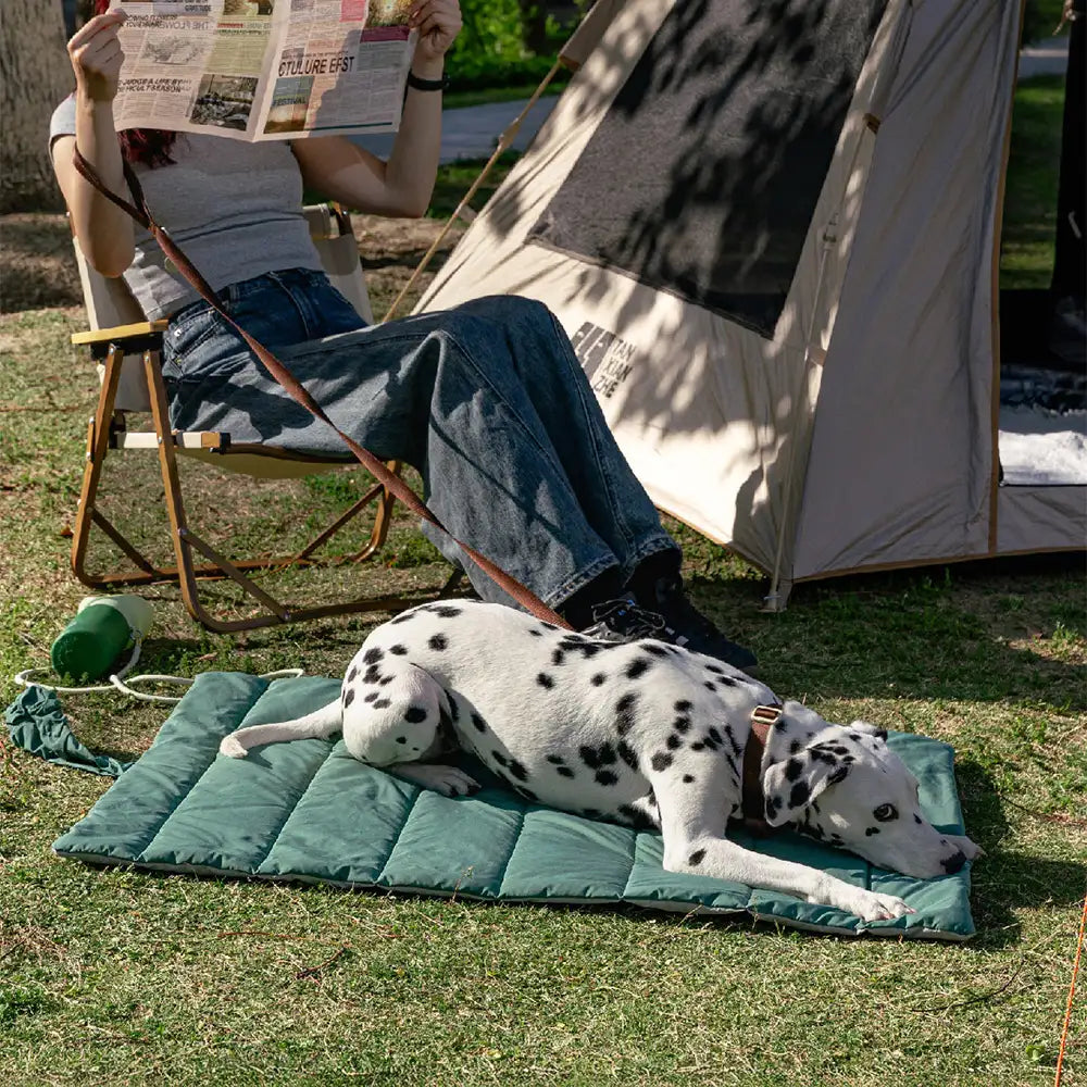 Portable Foldable Double-Sided Water-Repellent Dog
