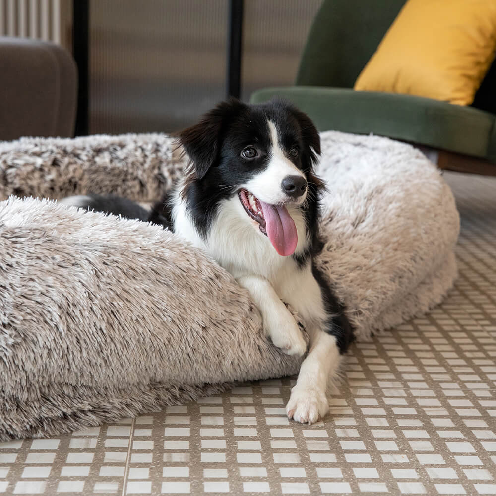 Luxury Super Large Sleep Deeper Oval Bed Human Dog
