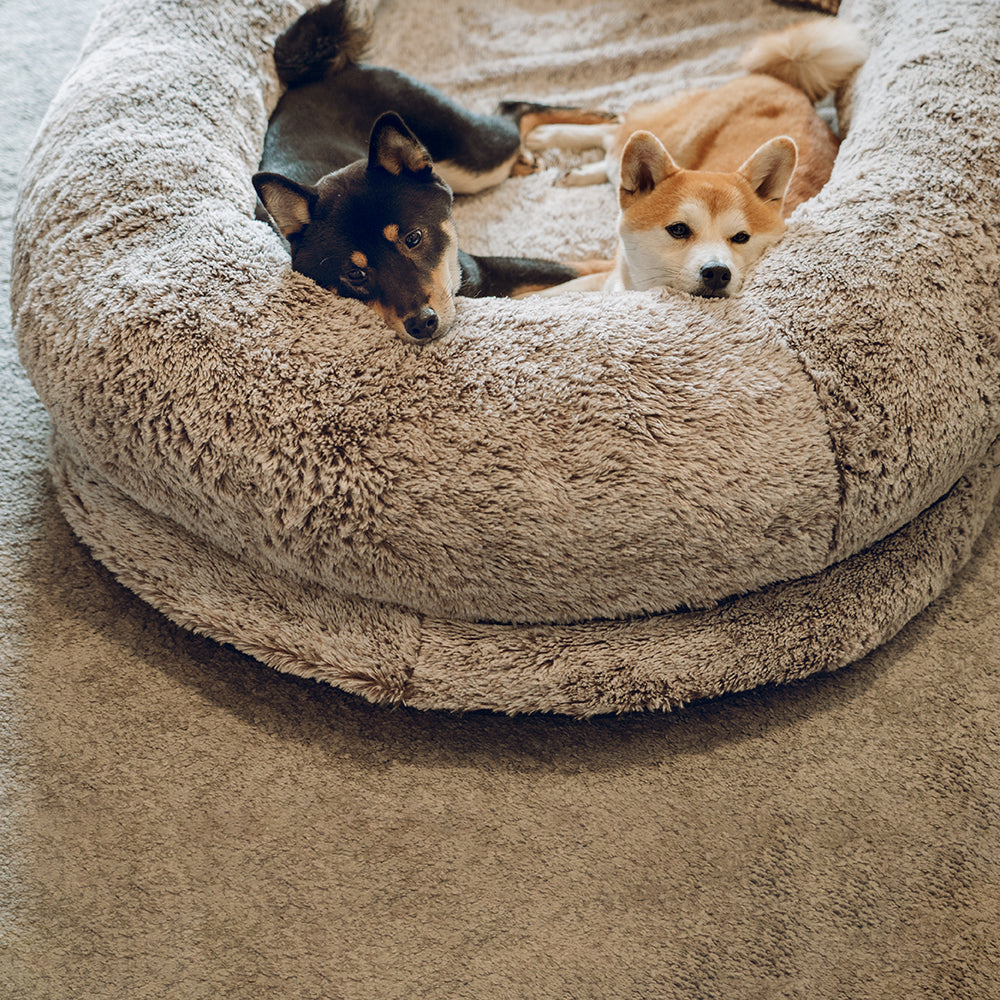 Luxury Super Large Sleep Deeper Oval Bed Human Dog