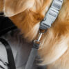 Travel Bolster Safety Medium Large Dog Car Back Se