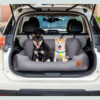 Travel Bolster Safety Medium Large Dog Car Back Se