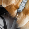 Travel Bolster Safety Waterproof Medium Large Dog 