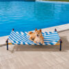 Vibrant Summer Print Style Aluminum Elevated Dog B