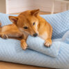 Ice Silk Cooling Pet Bed Breathable Washable Dog S
