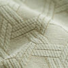 Jacquard Chenille Fabric Water-resistant & Oil-pro