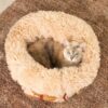 Large Reversible All-Season Indie Boho Cat Carrier