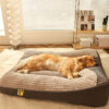 Large Thick Scratch-resistant Spine Protection Dog