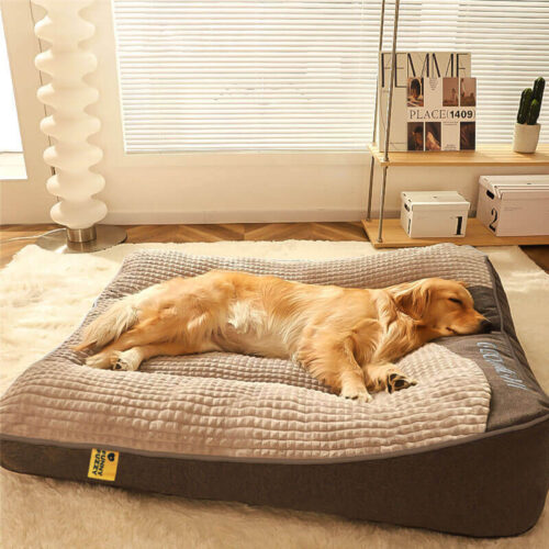 Large Thick Scratch-resistant Spine Protection Dog