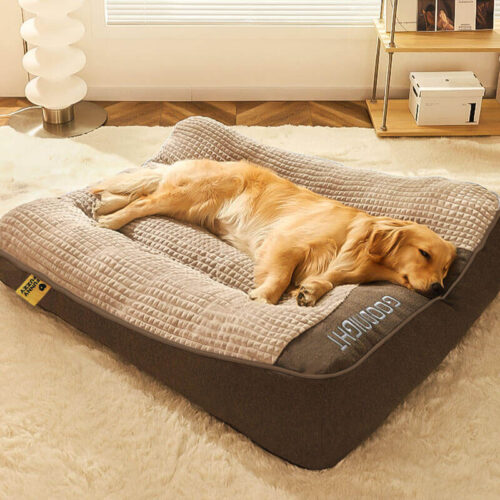 Large Thick Scratch-resistant Spine Protection Dog