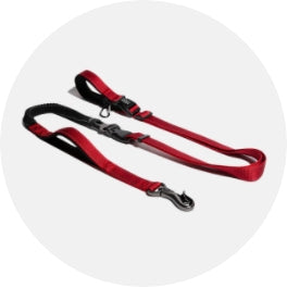 Leash & Harness