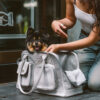 Lightweight Breathable Mesh Safe Pet Carrier - Urb