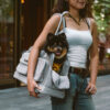 Lightweight Breathable Mesh Safe Pet Carrier - Urb