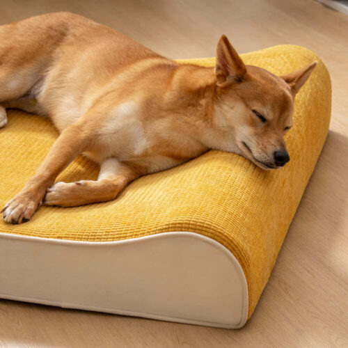 Luxurious Nobility Dog Lounge Chair Orthopedic Dog