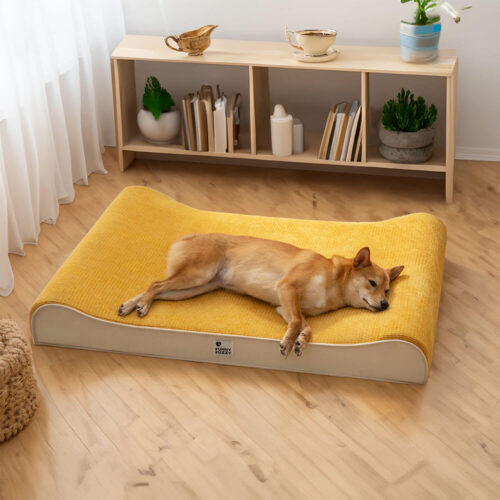 Luxurious Nobility Dog Lounge Chair Orthopedic Dog