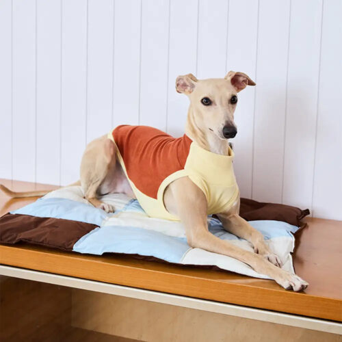 Macaron Color Water-Repellent Multi-Purpose Dog Ma