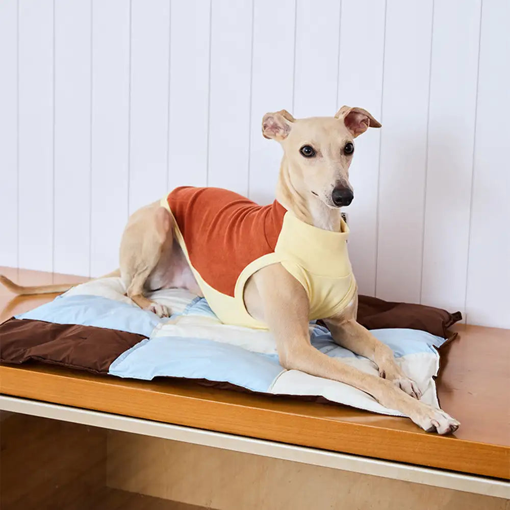 Macaron Color Water-Repellent Multi-Purpose Dog Ma