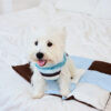 Macaron Color Water-Repellent Multi-Purpose Dog Ma