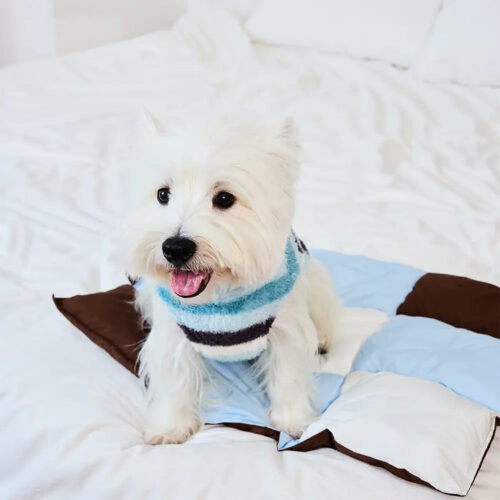 Macaron Color Water-Repellent Multi-Purpose Dog Ma