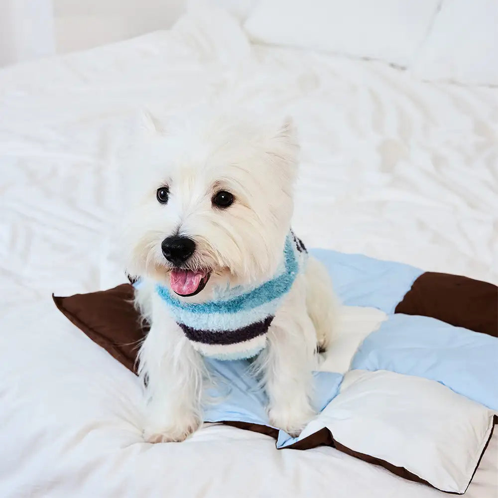Macaron Color Water-Repellent Multi-Purpose Dog Ma