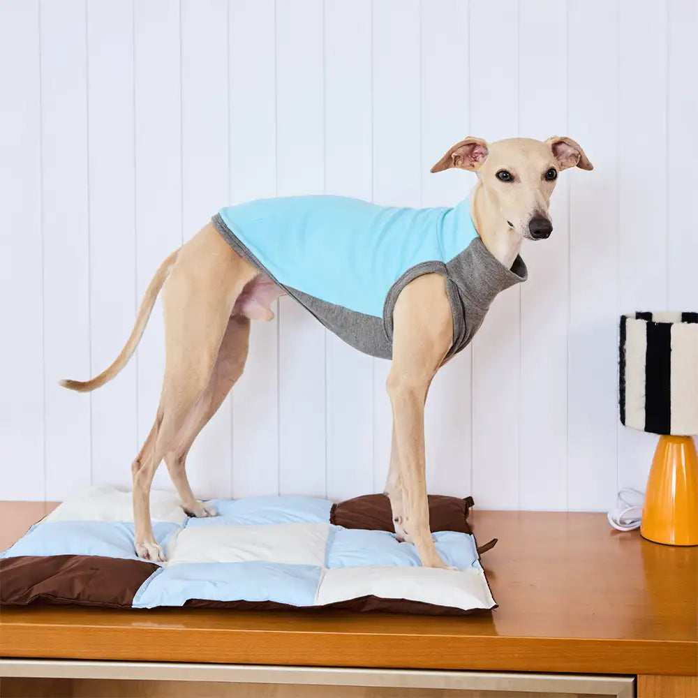 Macaron Color Water-Repellent Multi-Purpose Dog Ma