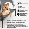 Multi-Functional Breathable Cooling Elevated Dog B