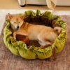 Nature-Inspired Adjustable Calming Dog Bed - Plush
