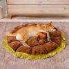 Nature-Inspired Adjustable Calming Dog Bed - Plush