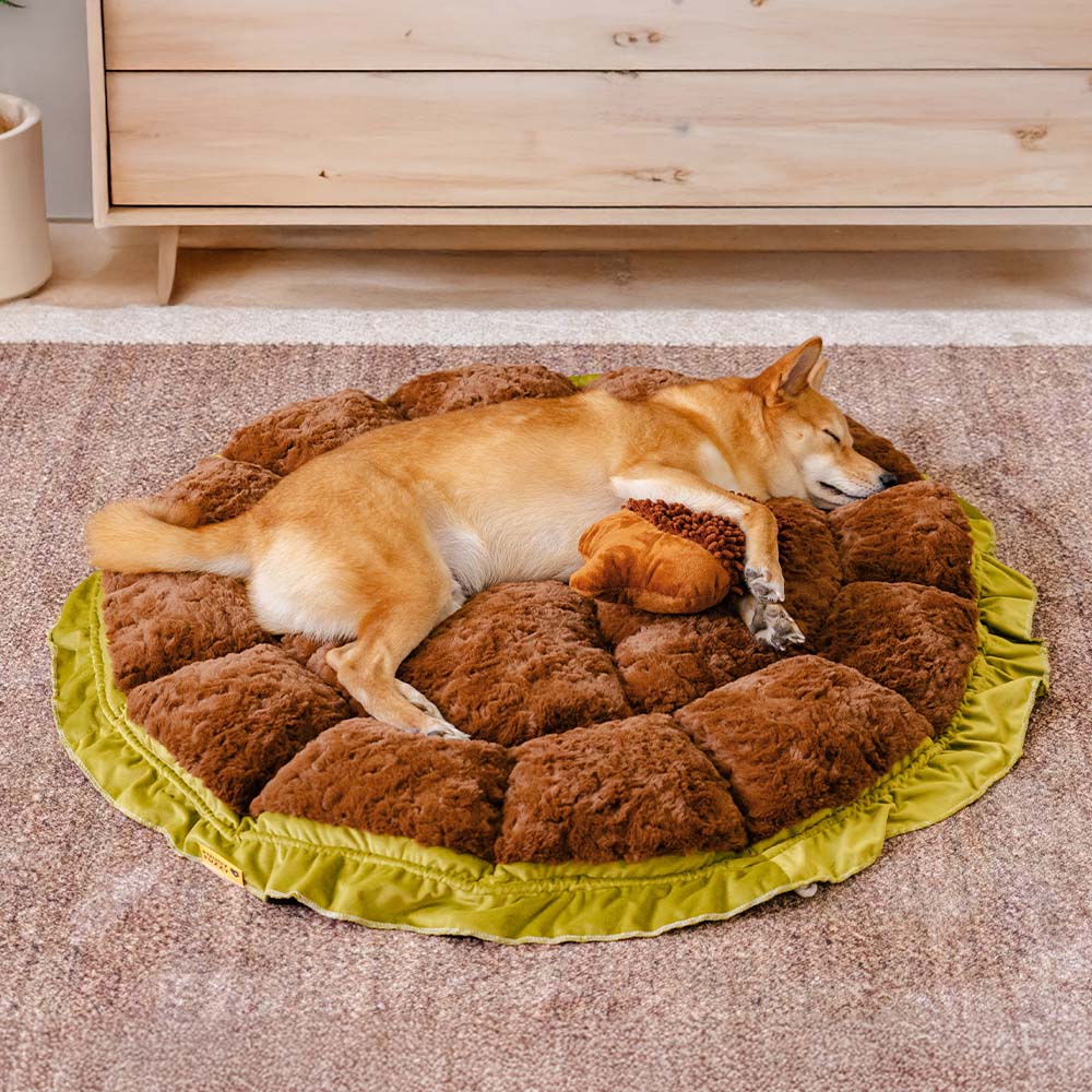 Nature-Inspired Adjustable Calming Dog Bed - Plush