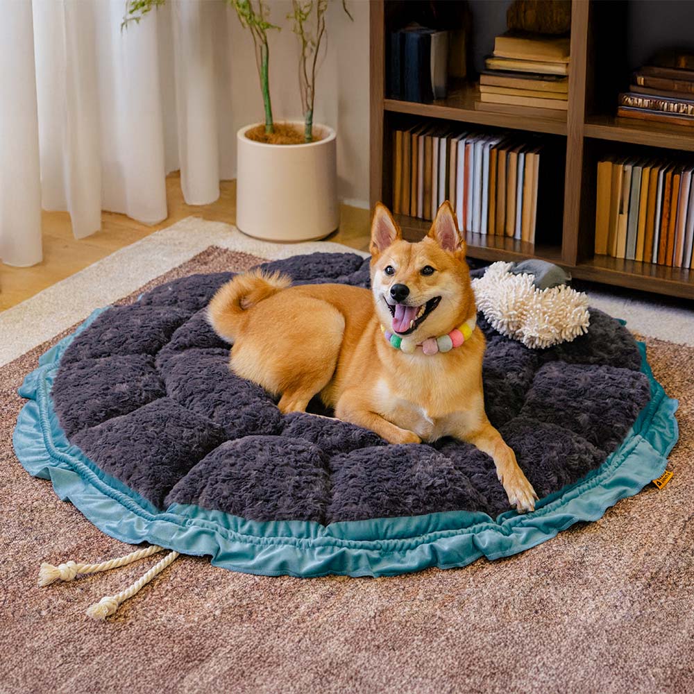 Nature-Inspired Adjustable Calming Dog Bed - Plush