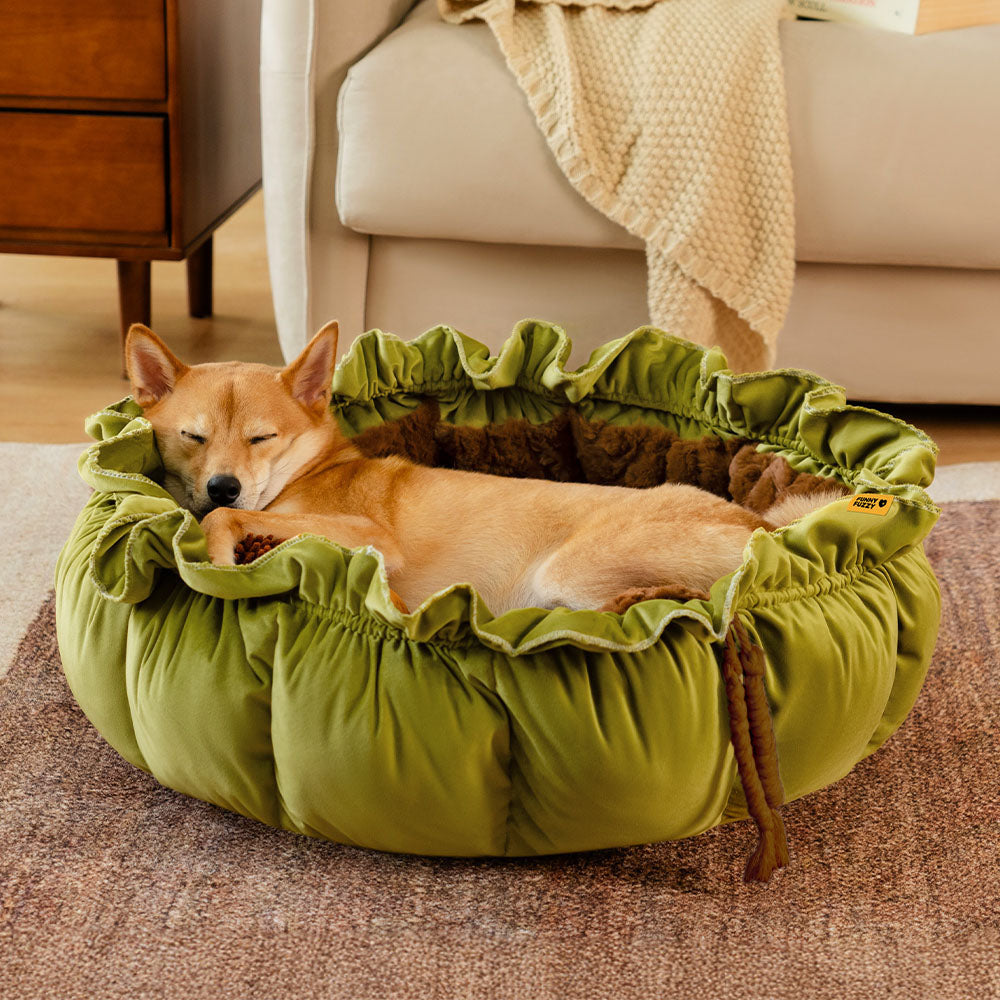 Nature-Inspired Adjustable Calming Dog Bed - Plush