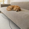 One-Piece Chenille Scratch-Resistant Durable Water