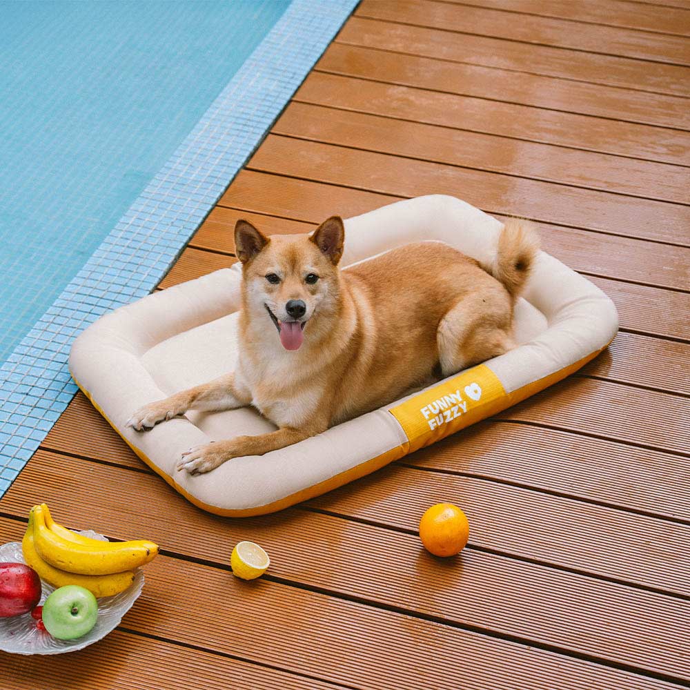 Outdoor Waterproof ＆ Chew-proof Memory Foam Orthop