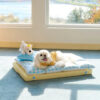 Play And Rest All-In-One Double-Layer Comfortable 