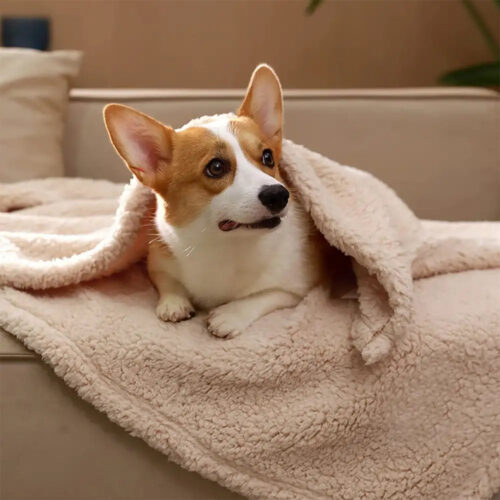 Polar Fleece Comfortable Warm Multifunctional Pet 