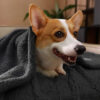 Polar Fleece Comfortable Warm Multifunctional Pet 