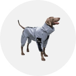 Pet Apparel