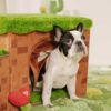 Retro Pixel Handcrafted Foldable Pet Stairs With S