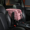 Stylish Plaid Portable Travel Dog Car Safety Seat 
