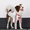 Striped Retro Reflective Dog T-Shirt for All Breed