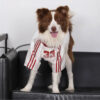Striped Retro Reflective Dog T-Shirt for All Breed