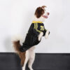 Striped Retro Reflective Dog T-Shirt for All Breed