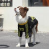 Striped Retro Reflective Dog T-Shirt for All Breed