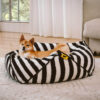 Trendy Striped Pattern Polygonal  Calming Bean Bag