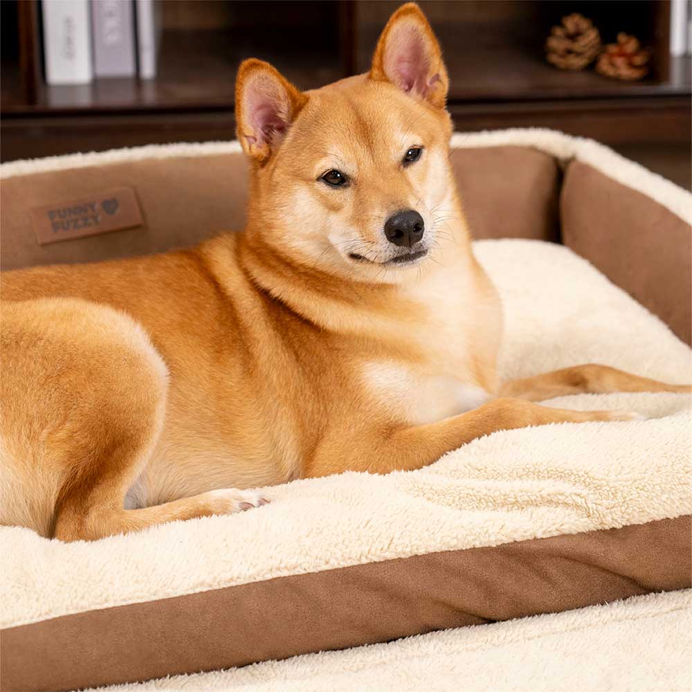 Stylish Expandable Ergonomic Calming Dog Bed - Tra